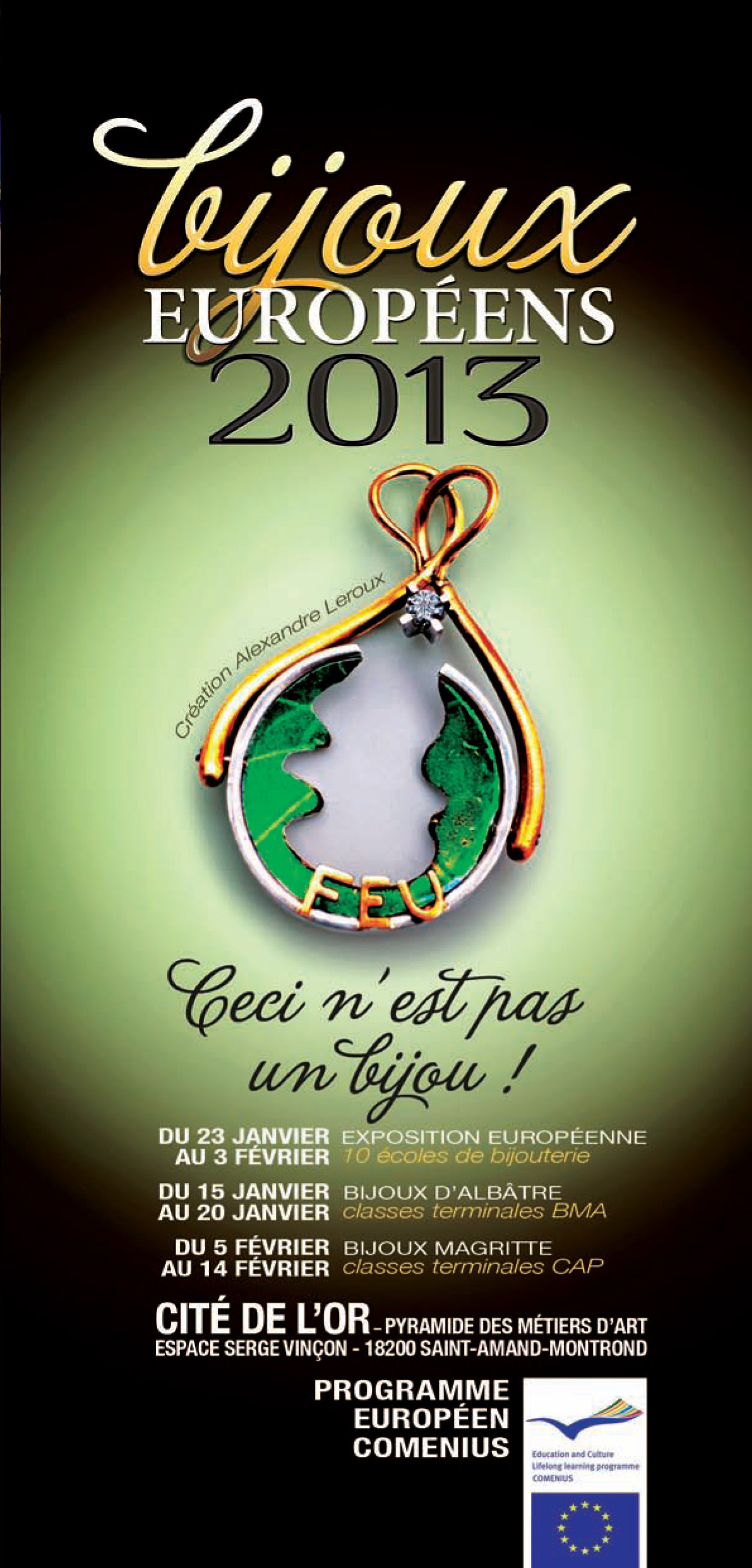 2013.comenius flyer 01